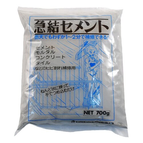 EA934KB−12 700g 急結セメント(グ