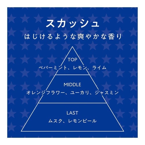 A−273 シードゼット スカッシュ