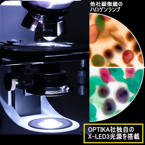 生物顕微鏡(位相差顕微鏡・暗視野顕微鏡)三眼鏡筒