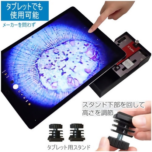 スマホで見る生物顕微鏡