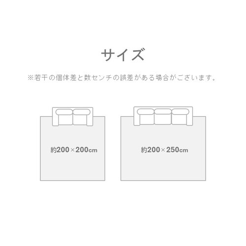 SPFXアルパ ベージュ 200×200cm