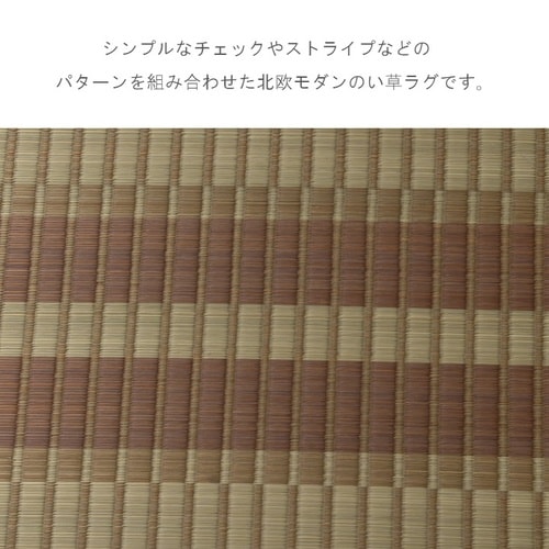 DXおうみ グリーン 140×200cm