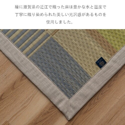 DXおうみ グリーン 191×250cm