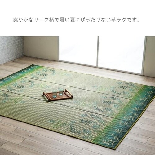 DXラテール ブルー 261×352cm