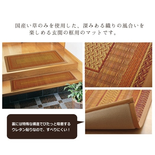 Fランクス 上がり框 ネイビー 35×120cm