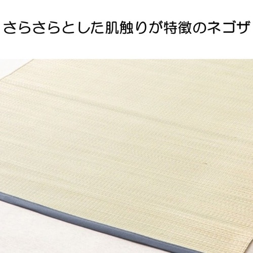 スマート ブルー 113×180×0.2cm