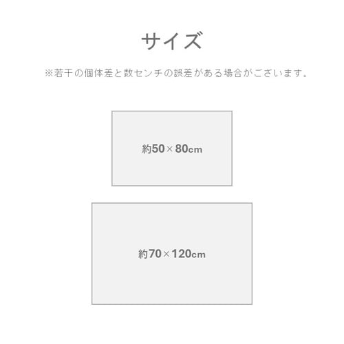 レイラ 50×80cm