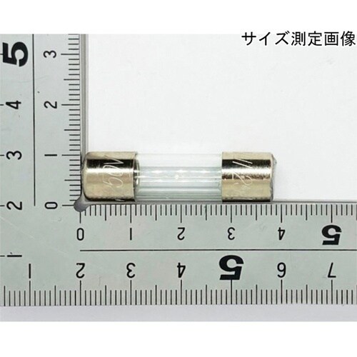 ガラス管ヒューズ φ10mm 250V