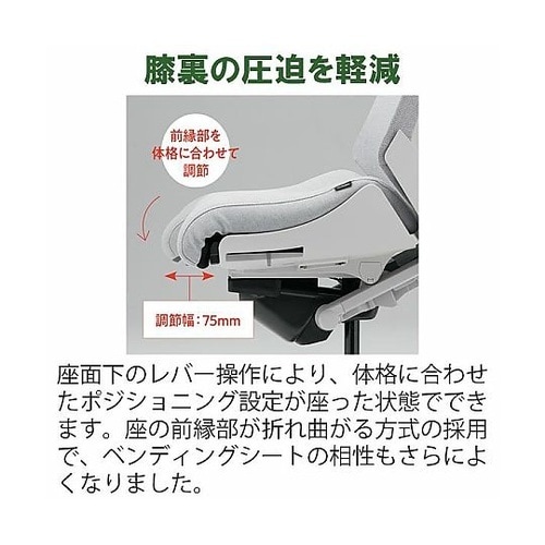 アクト2 背テクスチャードメッシュ 4D