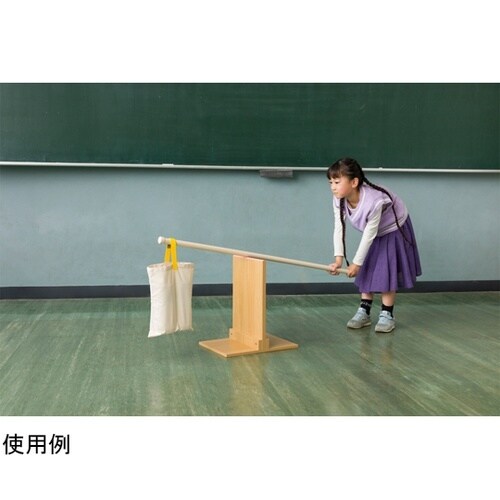 体験てこ実験器 108558