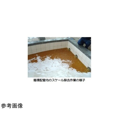 浴場洗浄剤 スケール除去 スケルトン 4