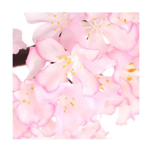 桜リース 28cm(造花) 53−4−7