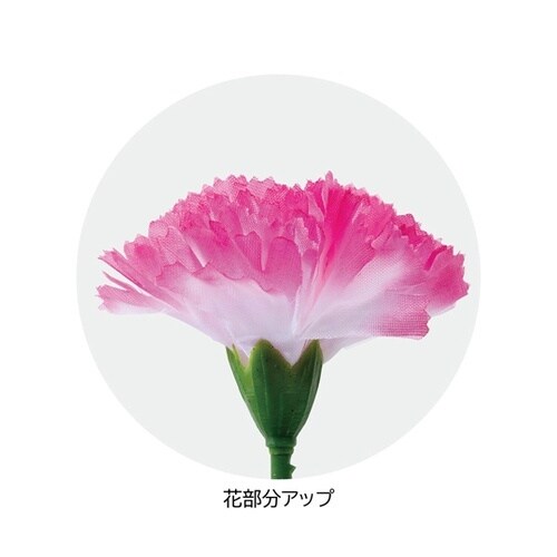 カーネーションラップ巻 ピンク L40c