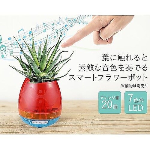 葉が奏でる・音と緑の癒し「スマートフラワ