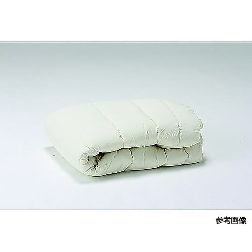 上に乗るだけ!ふとん圧縮パック(シングル