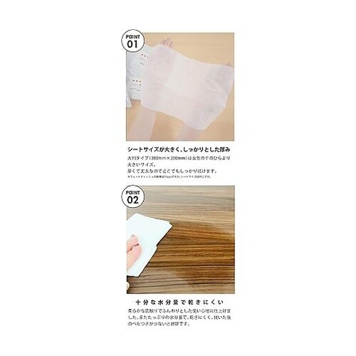 網戸クリーナー大判 1箱(50個入) N