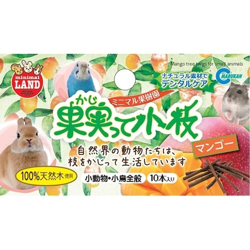果実って小枝 マンゴー 10本 ML−1