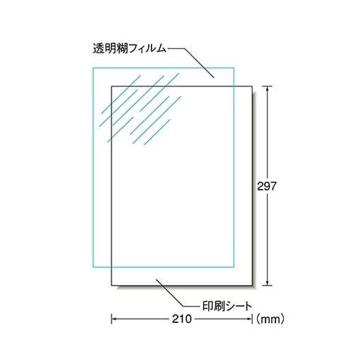 81022 デカールシール 透明