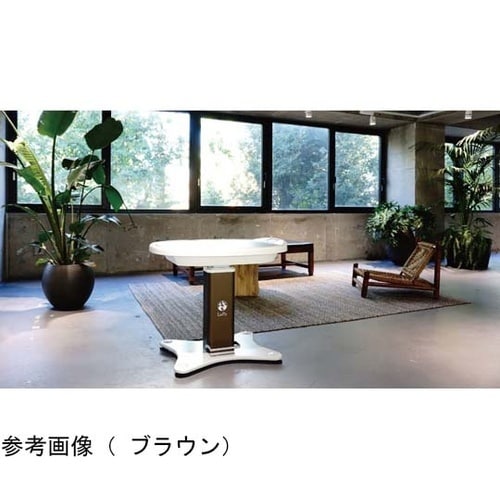 LUPO−850−GS(W)動物用診察台