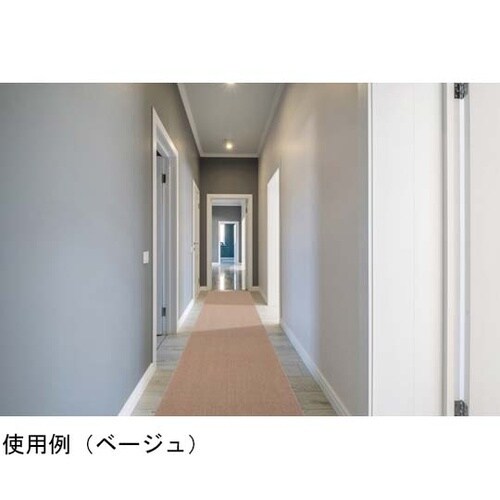 アレルブロック 廊下敷き ホームミスト