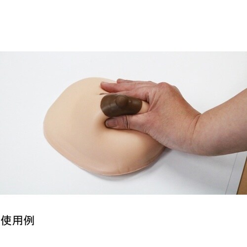 産褥乳房モデル装着型 1組2個入 BMS