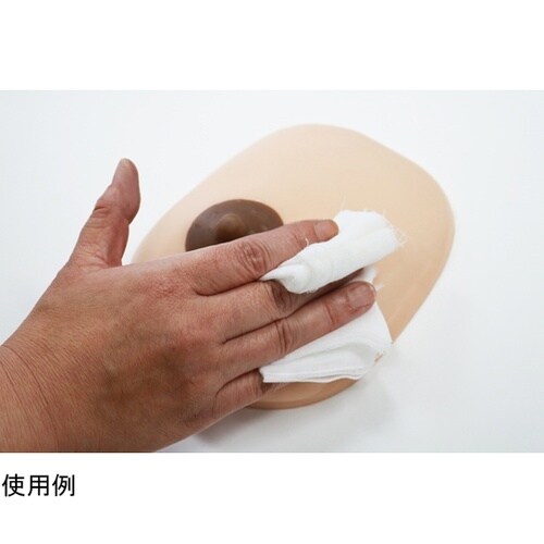 産褥乳房モデル装着型 1組2個入 BMS