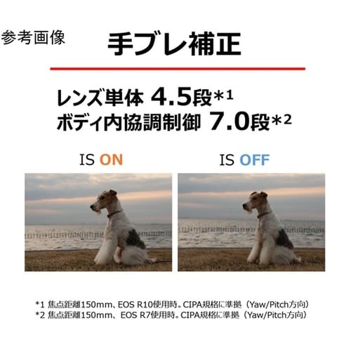 RFレンズ F3.5−6.3 RF−S1