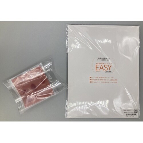 消化管内視鏡シミュレータ EASY イー