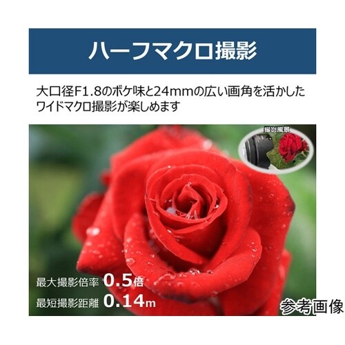 RFレンズ RF24mm F1.8 MA