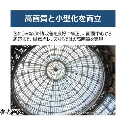 RFレンズ RF24mm F1.8 MA