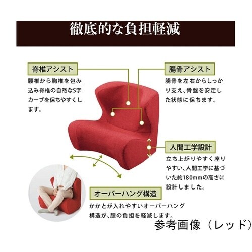 Style Dr.CHAIR ブラウン