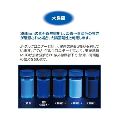 ECブルー 100 100mL×80本入