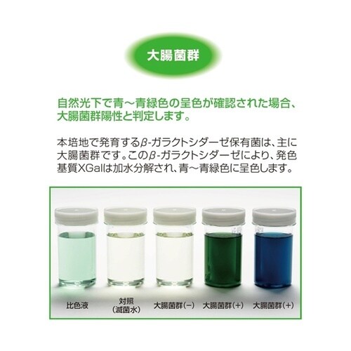 ECブルー 100 100mL×80本入