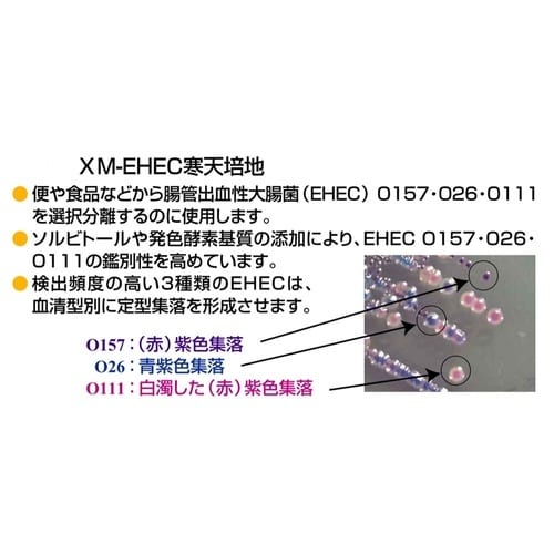 アキュレート(TM)XM−EHEC寒天培