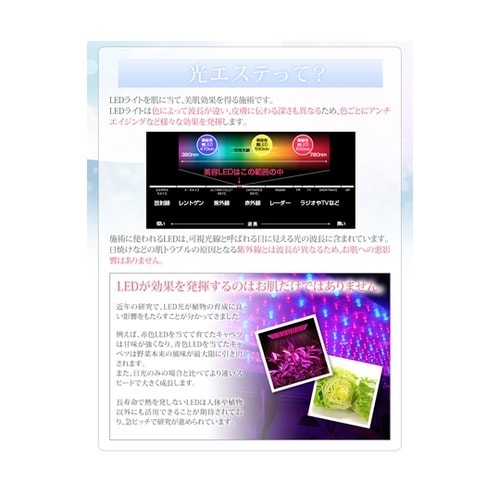 美ルル ヒカリ ミニ KRD1022