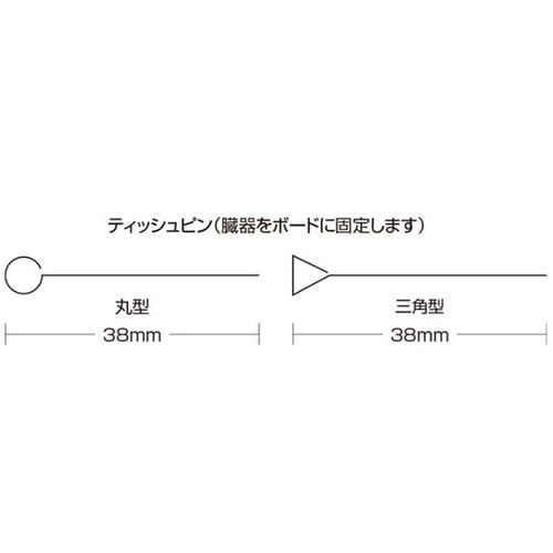 ホルマンボードティッシュピン丸 1000