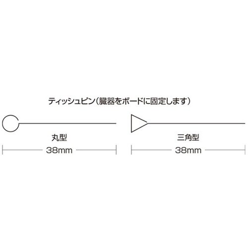ホルマンボードティッシュピン三角 100