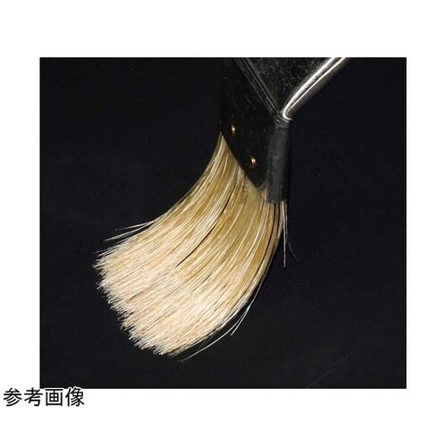 白豚毛自在メジ刷毛 24mm 12本入