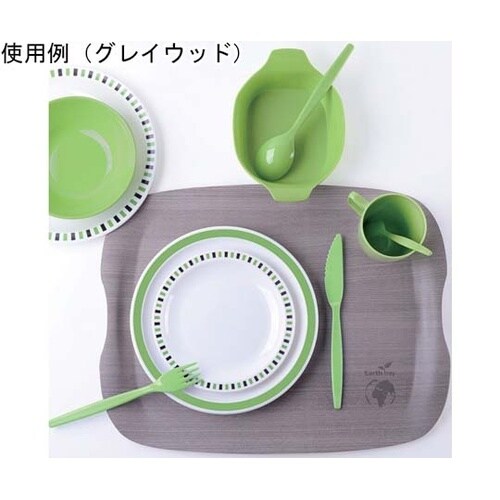 アーストレイ ノーマルタイプ ライトウッ