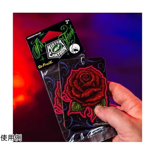 Turtle Wax/Mister Ca