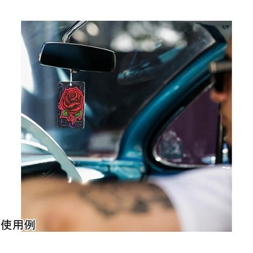 Turtle Wax/Mister Ca