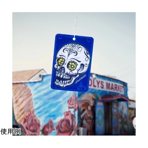 Turtle Wax/Mister Ca