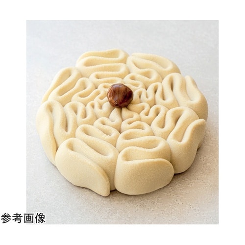 パボケーキ レース(Dentelle)