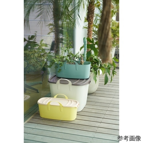 baquet L slim sage