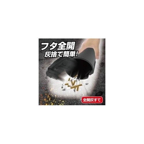 ビッグアッシュ ED243