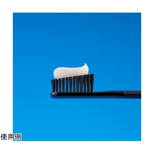 ロックスPRO歯みがき センセーショナル