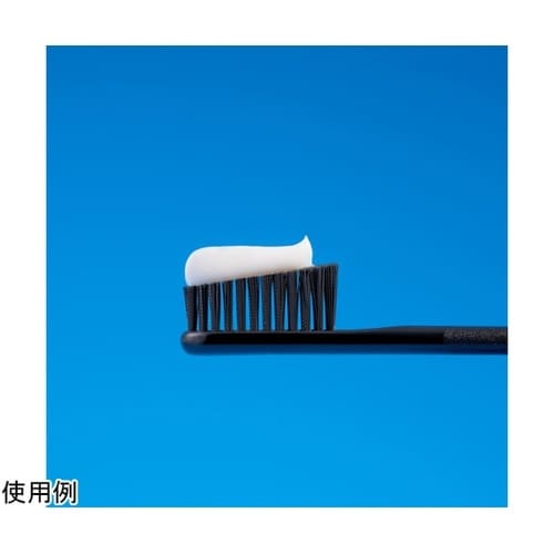 ロックスPRO歯みがき コーヒー&ティー