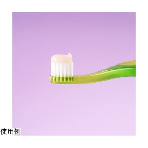 ロックスPRO歯みがき ベビー バナナ
