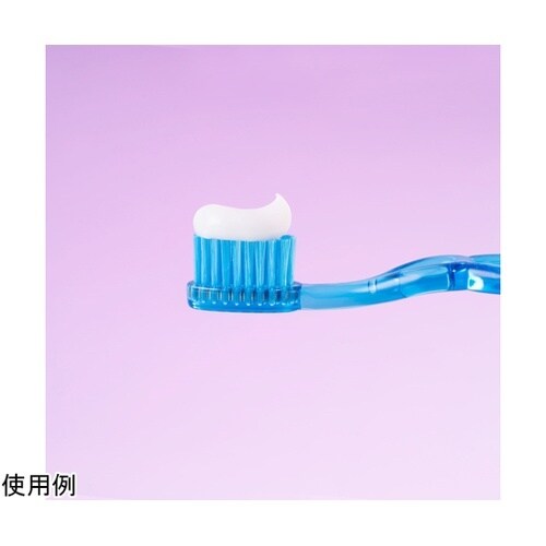 ロックスPRO歯みがき キッズ アイスク