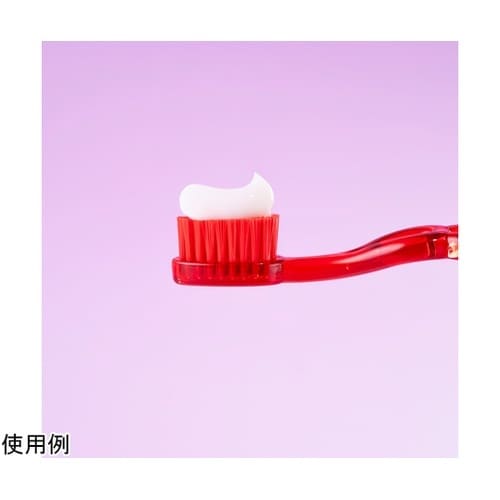 ロックスPRO歯みがき キッズ スムージ
